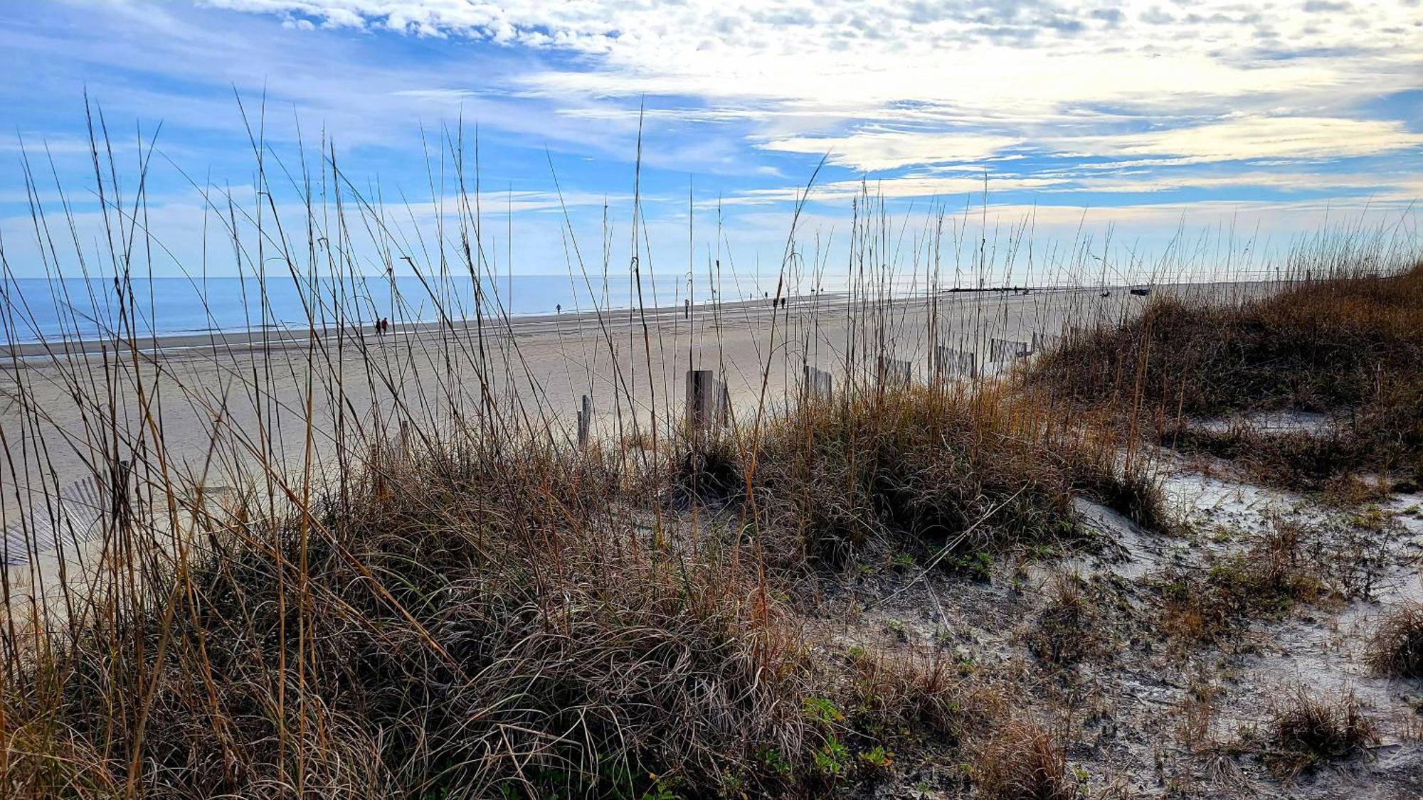 Sandpiper 103 By Tybee Beach Vacation Rentals Tybee Island Eksteriør bilde
